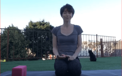 Vidéo : Pilates Dos et Bras
